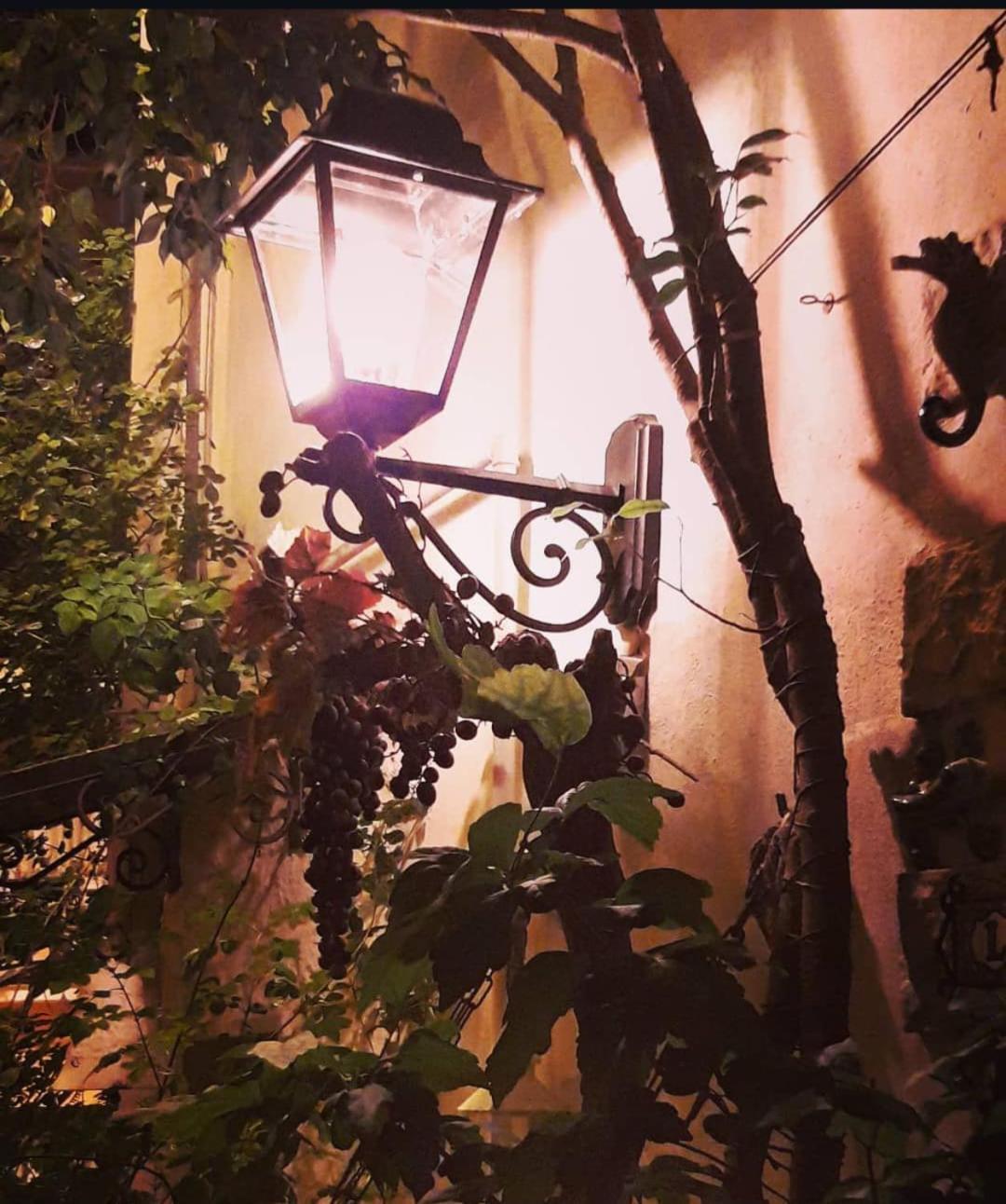 B&B Bari Vecchia R 外观 照片